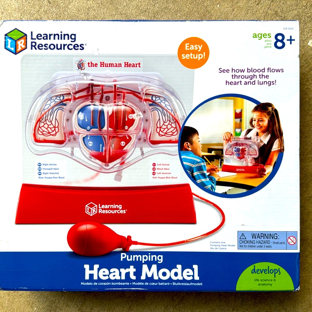 Learning Resources Pumping Heart Model
